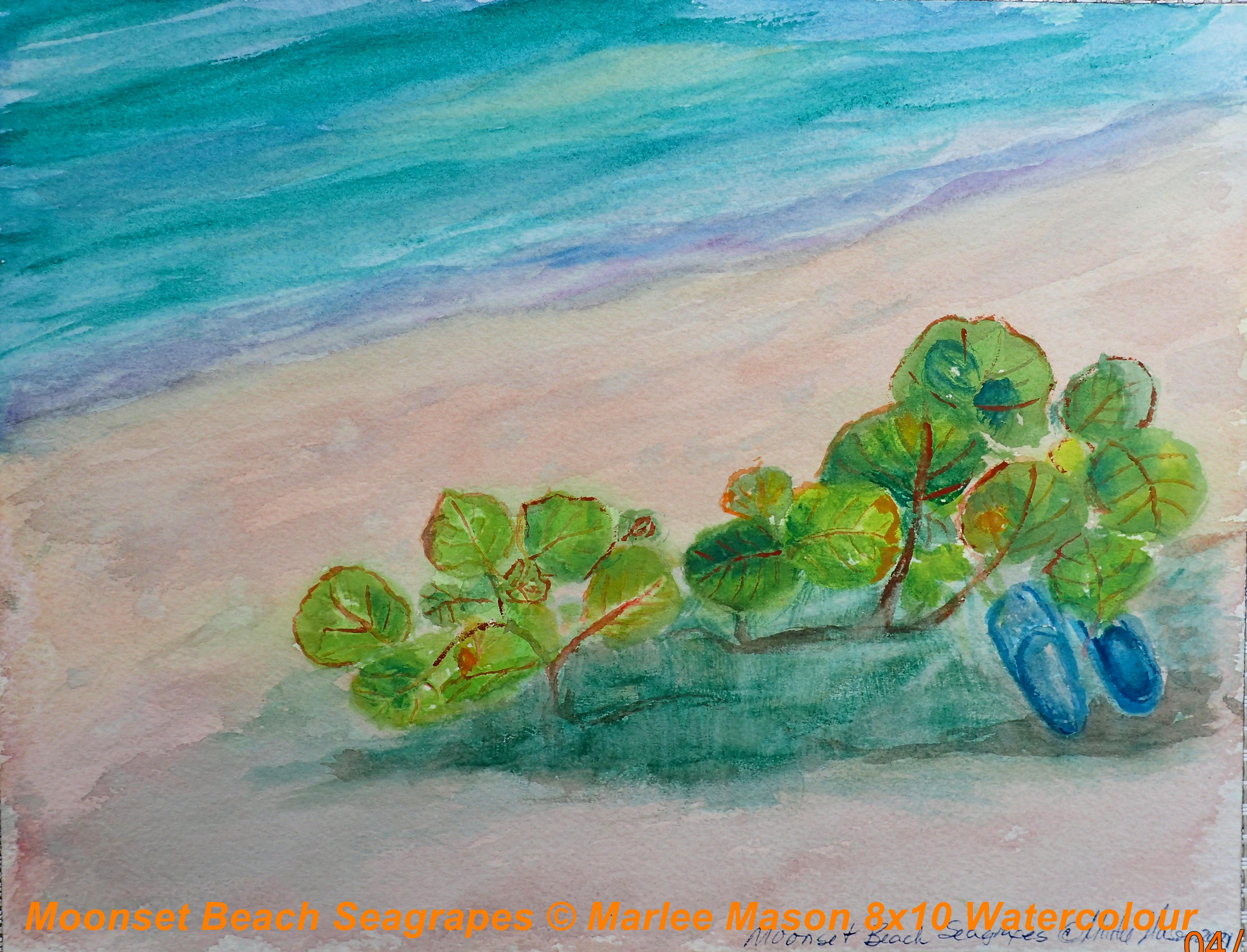 From my private beach on Lubbers this watercolour plein air painting captures the new growth of seagrapes on the dune recovering a foothold after the hurricane.   Painted and water protected on Arches